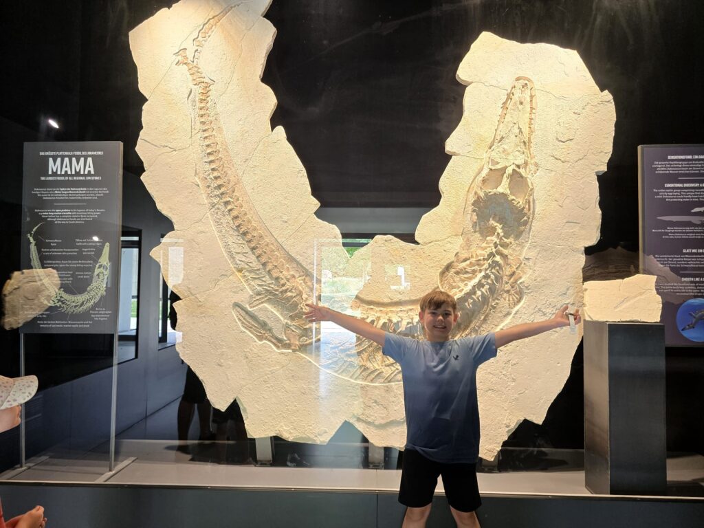 Kind vor dem Fossil „MAMA“ im Dinosauriermuseum Altmühltal. Riesiger Meeresreptilienfund im Plattenkalk – Highlight für Familien und Dino-Fans in Bayern.