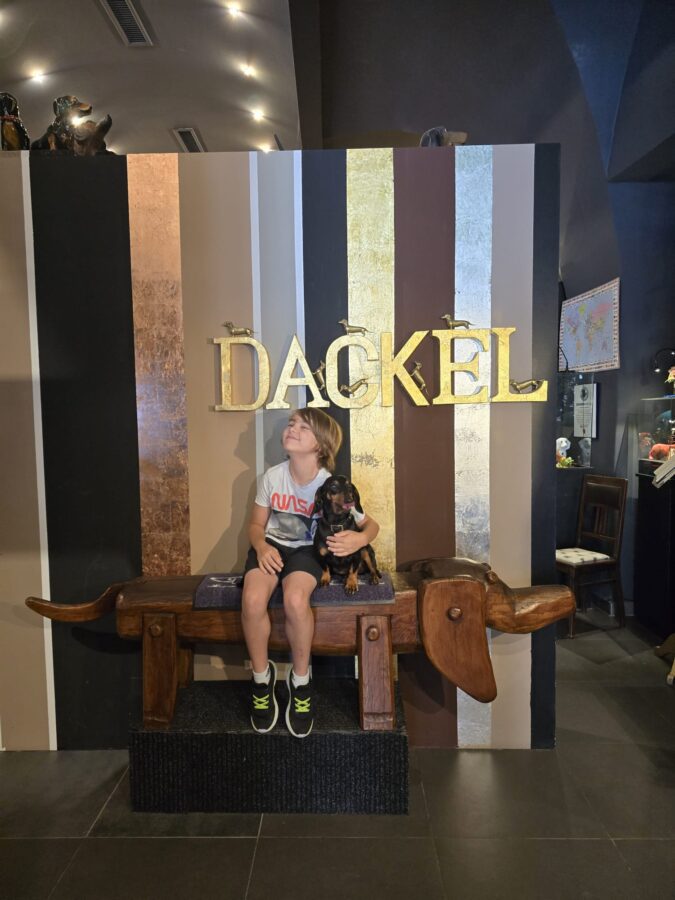 Mein Sohn sitzt im Dackelmuseum Regensburg auf der berühmten Dackelbank neben einem echten Dackel – das Highlight des Museumsbesuchs.