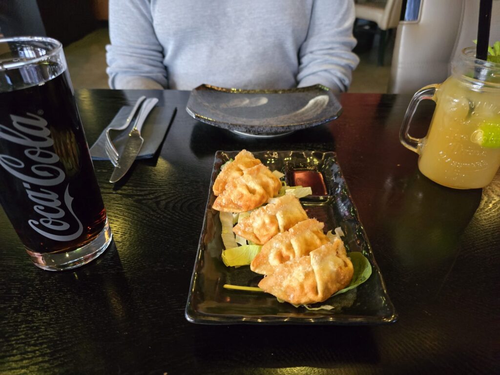 Knusprige Gyoza mit Hähnchen im Genji Neumarkt, serviert auf schwarzer Keramikplatte mit Dip und knackigem Salatblatt