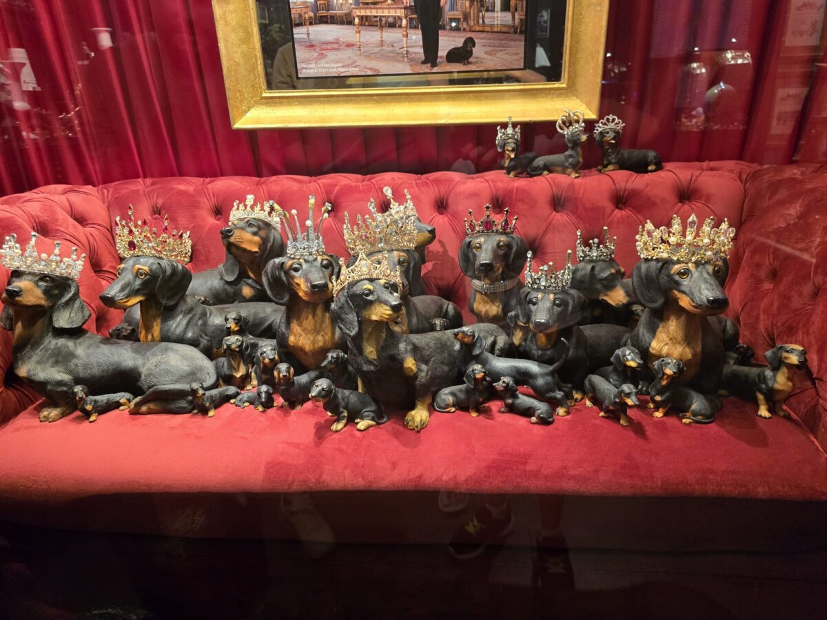 Eine königliche Dackelparade im Dackelmuseum Regensburg – viele Dackelfiguren mit funkelnden Kronen auf einem roten Sofa.